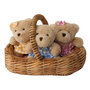 WB001305 Wilberry picknick beren set