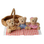 WB001305 Wilberry picknick beren set