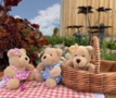 WB001305 Wilberry picknick beren set