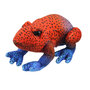 PC007802 Little Creatures - rode kikker vingerpop
