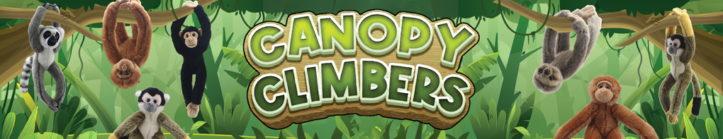 Canopy climbers