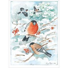 k16462 ansichtkaart - vinken in de sneeuw | Mano cards groothandel