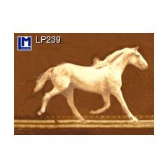 LP239 Wisselbeeldkaart - Muybridge Paard