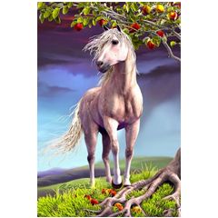AGPC026 3D Postcard Horse Heaven
