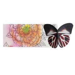 BK005 3d vlinder boekenlegger | Mano cards groothandel
