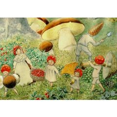 16154 ansichtkaart Elsa Beskow - paddenstoelen