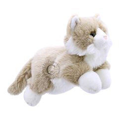 PC001828 Cat kat beige - full-bodied animal - handpop | Mano cards groothandel