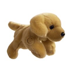PC001808 Labrador hond - full-bodied animal - handpop | Mano cards groothandel