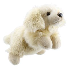 PC001833 Golden Retriever - full-bodied animal - handpop | The Puppet Company | Mano Cards Groothandel