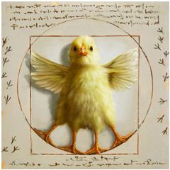 CHP1755 Lucia Heffernan kaart - Vitruvian Chick