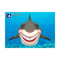 kl215 wisselbeeldkaart - haai