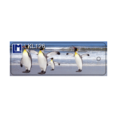 Lkl126 3D Boekenlegger - pinguin
