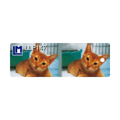 Llp147 3D Boekenlegger - kat | Mano cards groothandel
