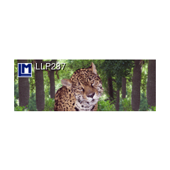 Llp287 3D Boekenlegger - luipaard | Mano cards groothandel