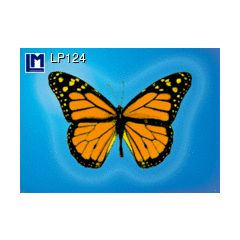 lp124 wisselbeeldkaart - vlinder