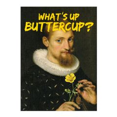 MP015 – Eclectic Selection Santoro - wenskaart Masterpieces - What's Up Buttercup | mano cards groothandel