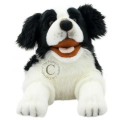 PC003007 Border Collie hond - Playful Puppies - handpop  | The Puppet Company | Mano cards groothandel