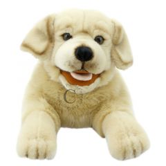 PC003009 Labrador hond - Playful Puppies - handpop  | The Puppet Company | Mano cards groothandel