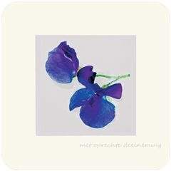 V411 ansichtkaart met envelop - met oprechte deelneming - blauwe bloem | mano cards groothandel