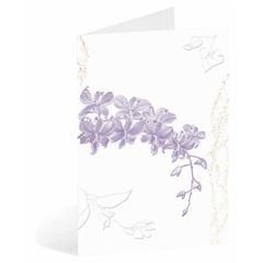 06.11690 wenskaart busquets sympathy - paarse bloem