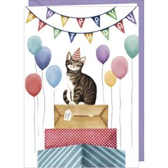D005 - wenskaart Rosie Hilyer - verjaardagskat | mano cards groothandel