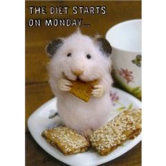 SQ003 tiny squee mousies wenskaart - diet starts monday