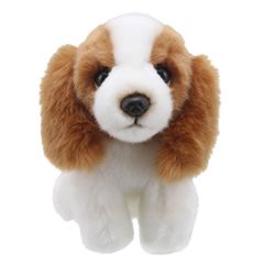 WB005055 King Charles Spaniel - Wilberry Minis | Mano cards groothandel
